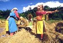 Mae Hong son ECO soft Adventure Tours